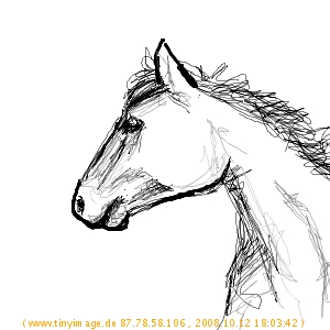 Pferde malen - Skizze schwarz weiß